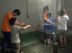 DSCN2429