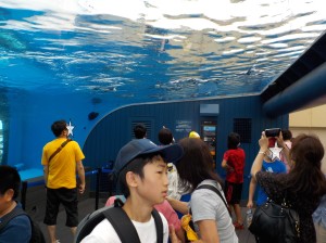 DSCN2891