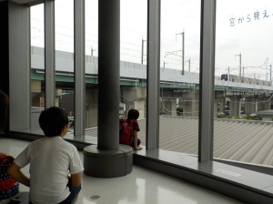 DSCN3087
