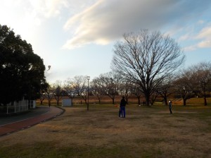 DSCN4012