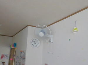 DSCN4946