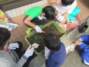 IMG_0039 (1)